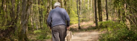 An old man walking his dog in the woods.