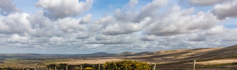 Looking east along the Preseli Hills