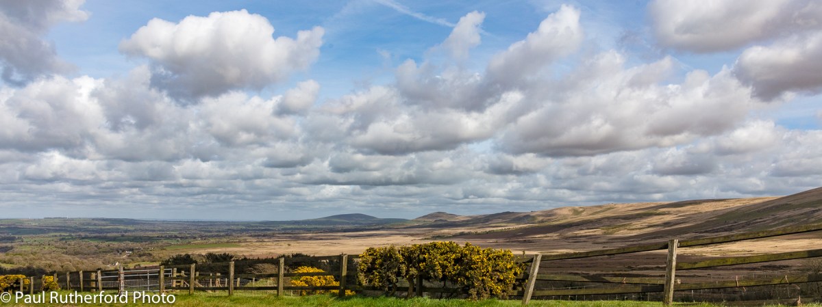 Looking east along the Preseli Hills